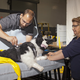 Illustration for article titled Study Shows Many Pet Car Safety Restraints To Be Unsafe